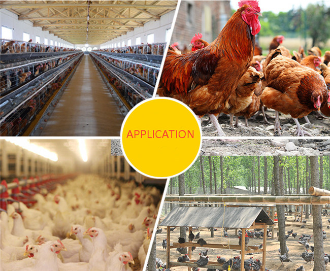 POM 8mm Pipe Poultry Water Drinkers Automatic Chicken Drinkers And Feeders