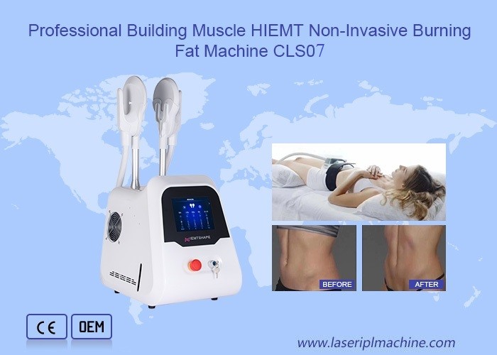 2 Handles Home Use Ems Sclupt Weight Loss Hi Emt Neo Muscle Stimulate Machine