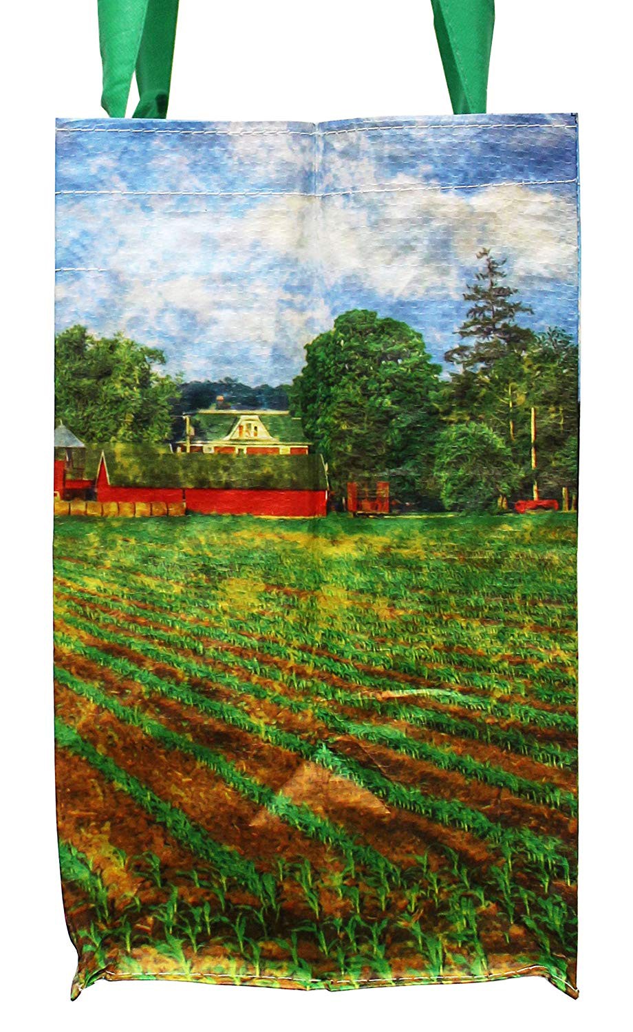 Picture Printed Recycled Shopping Bag , Pp Woven Tote Bag Customized Size