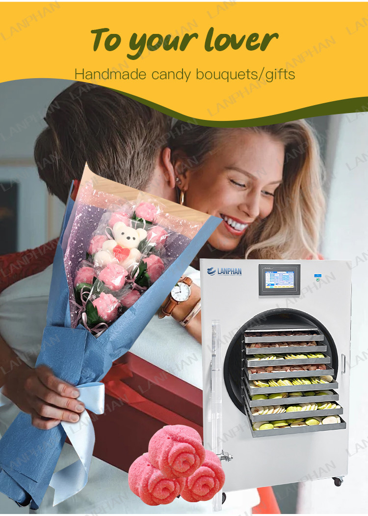 45kg 40kg Home Freeze Dryer Fruit Dog Treat Food Vegetable Fruit Freeze Dryer