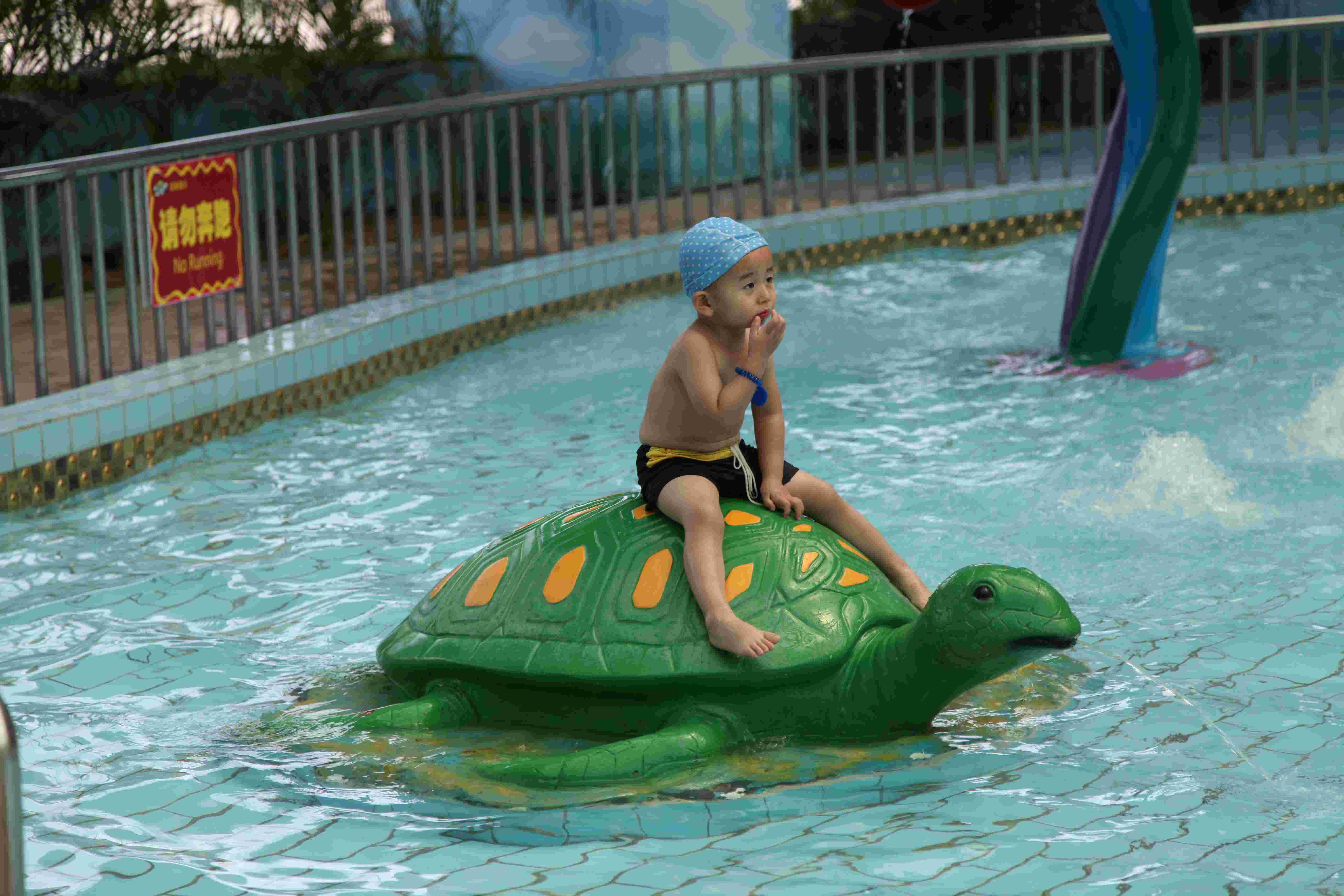 Custom Water turtle Aqua Play Water Playground , Spray Park Equipment For Kid water park