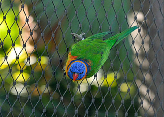 Zoo Stainless Steel Wire Mesh Fencing 7*7 7*19 With Various Specifications