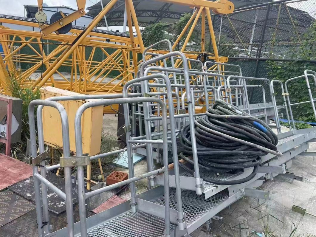 Zoomlion Flat Head Tower Crane 2020 (W6017-8)