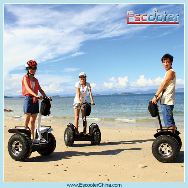 Balancing electric chariot for sale ,2 wheel adult electric scooter lithium battery