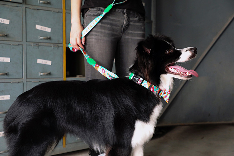 3.66m 12 Foot Anti Pull Dog Leash No Pull Lead For Dogs