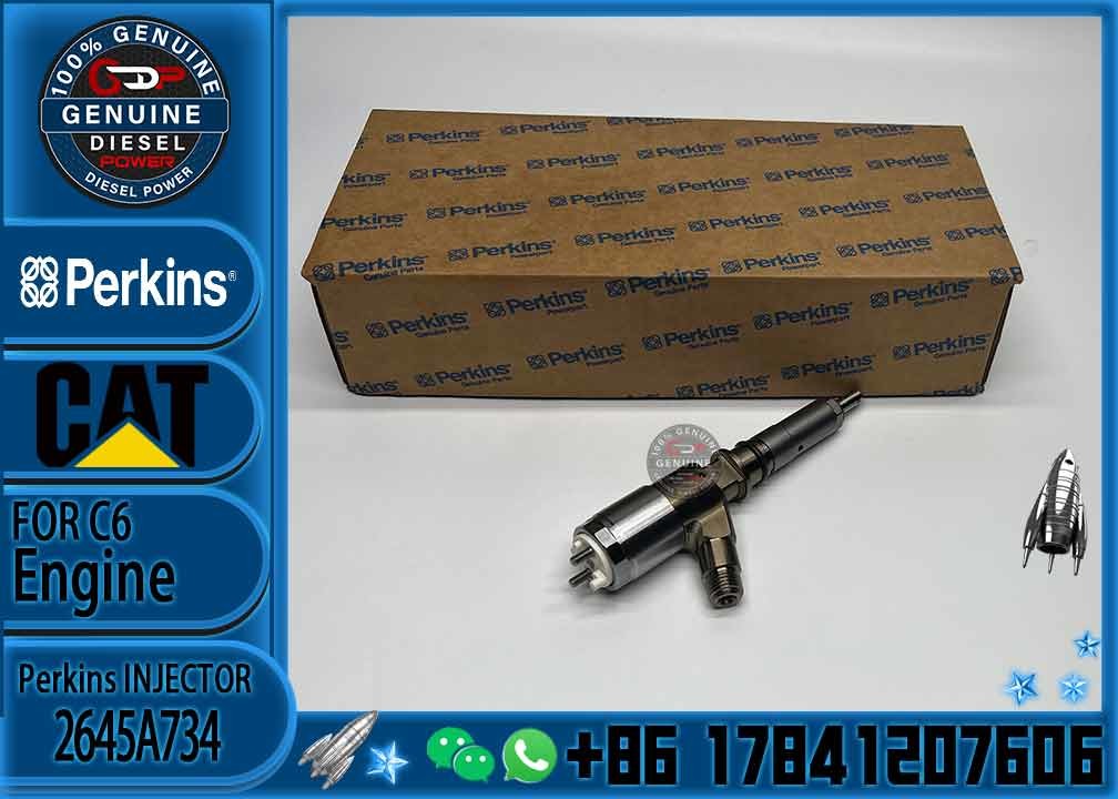 Common Rail Injector 306-9380 Fuel Injector Assembly 320-0680 2645A747 2645A734 For CAT Engine C6.6 C4.4