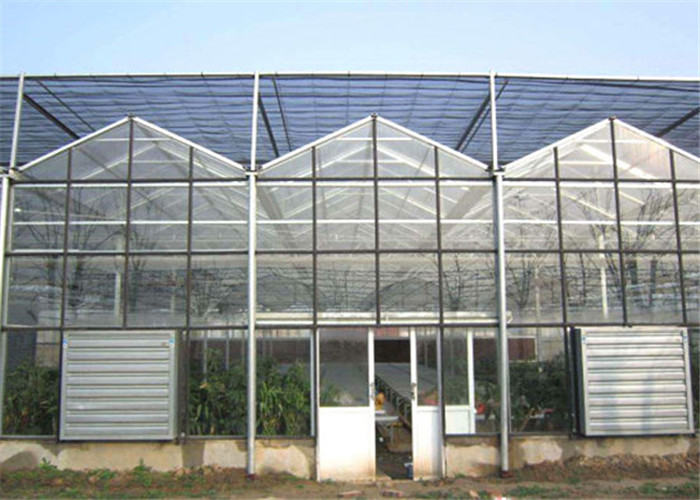 4mm / 5mm Glass Covering Glass Greenhouse Kit , Forest Garden Greenhouse For Seed Breeding