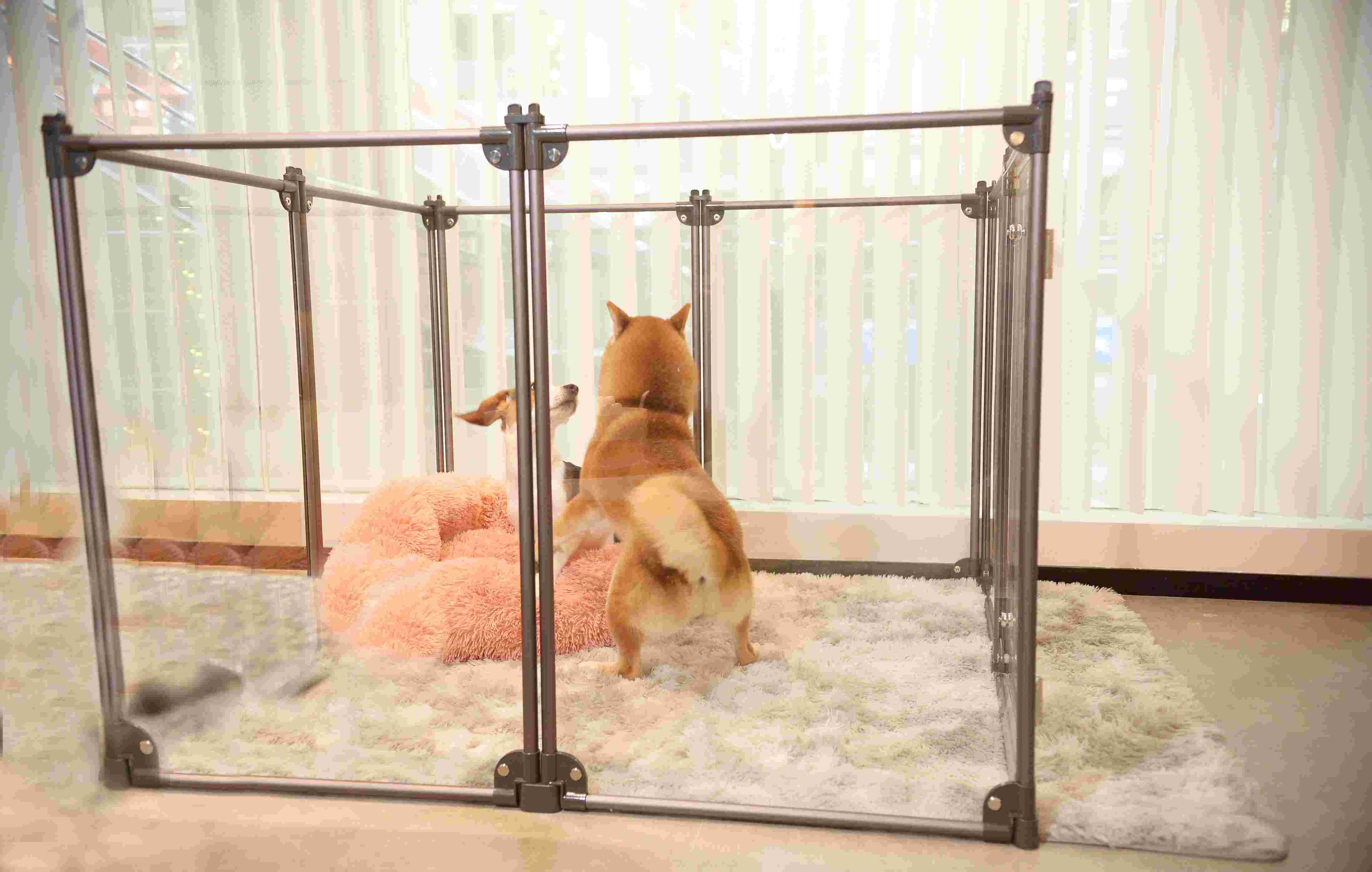 Portable Aluminium Acrylic Pet Playpen For Dog Puppy Rabbit