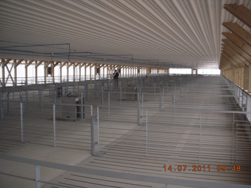 Hot Galvanied Steel Pig Farming Equipment , Pig Sow Stalls For Fattening Hog