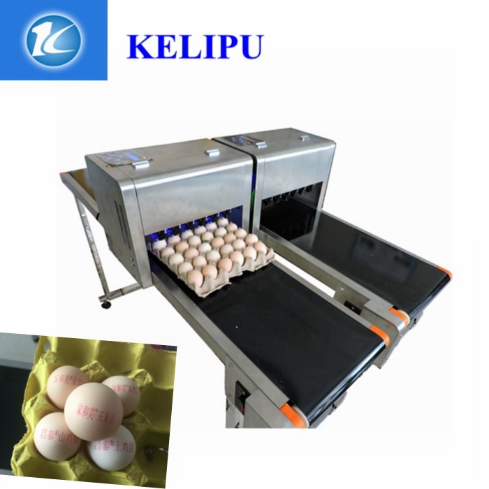 600DPI Egg Jet Printer / Expiry Date Printing Machine With One Year Warranty