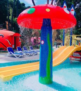 Buy cheap Fiberglass Water Mushroom Fountain Customized For Children Spray Park product