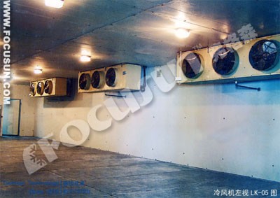 2024 Design Ice Storage with Refrigeration Equipment and Heart Preservation Material