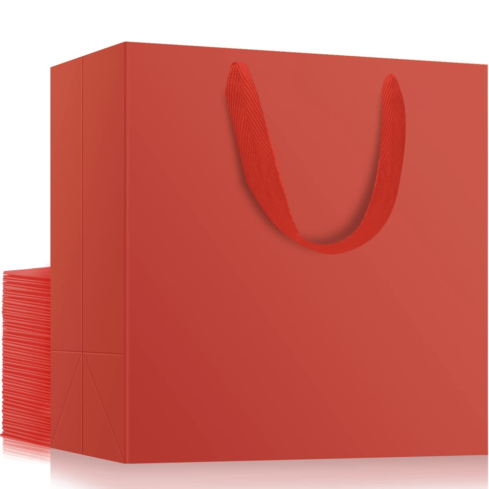 Custom Color Accepted Ribbon Handle Paper Bag for Luxury Clothing Boutique Gifts