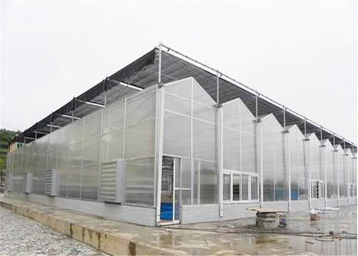 High Transparency PC Sheet Greenhouse Large Size Good Heat Preservation Performance
