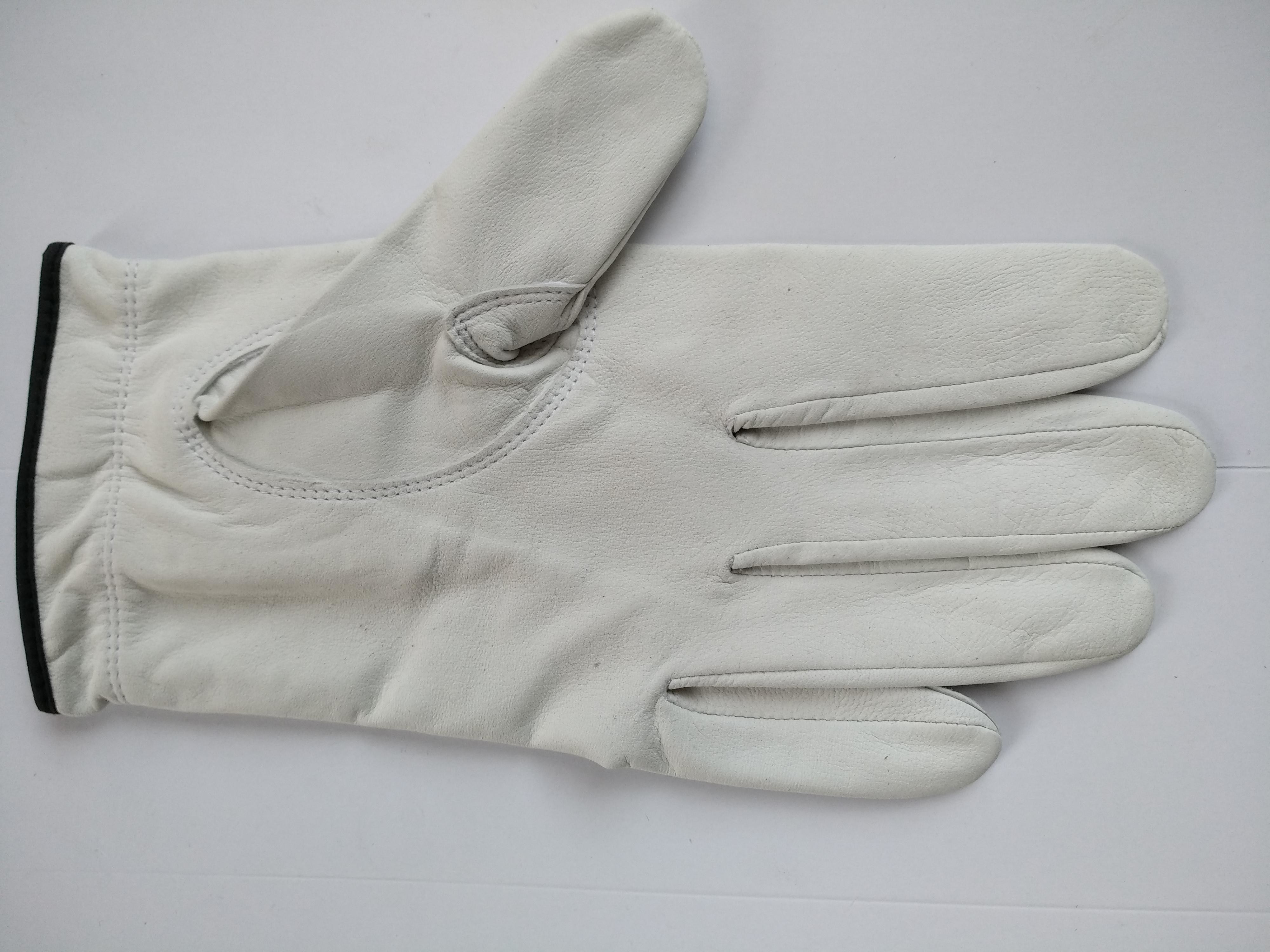 golf glove , golf gloves , glove , gloves