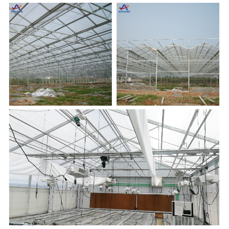 Vertical Farming Clear Polycarbonate Greenhouse 3m To 7m Height