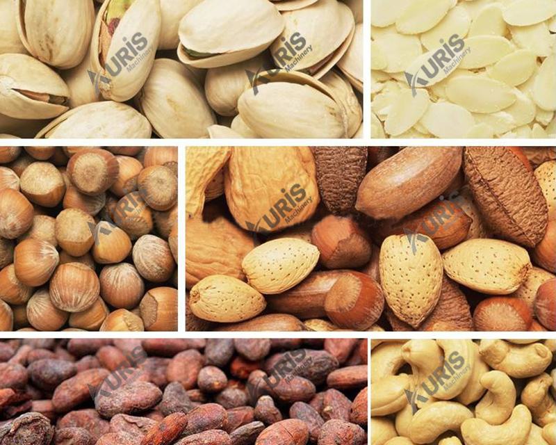 80-120 Kg/H Nuts Processing Machine Cashew Peanut Cocoa Bean Roasting Machine