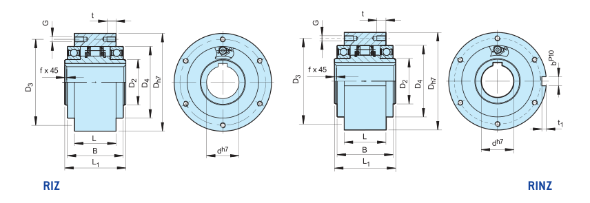 RIZ30 9000RPM Freewheels 1 Directional Roller Bearing Clutch