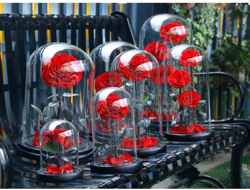 2021 popular Preserved Roses Long lasting Roses in Dome Valentines Day Gift