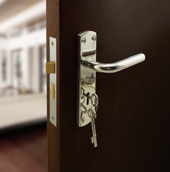 Stainless steel door handle on a spring loaded backplate for UK size lever lock