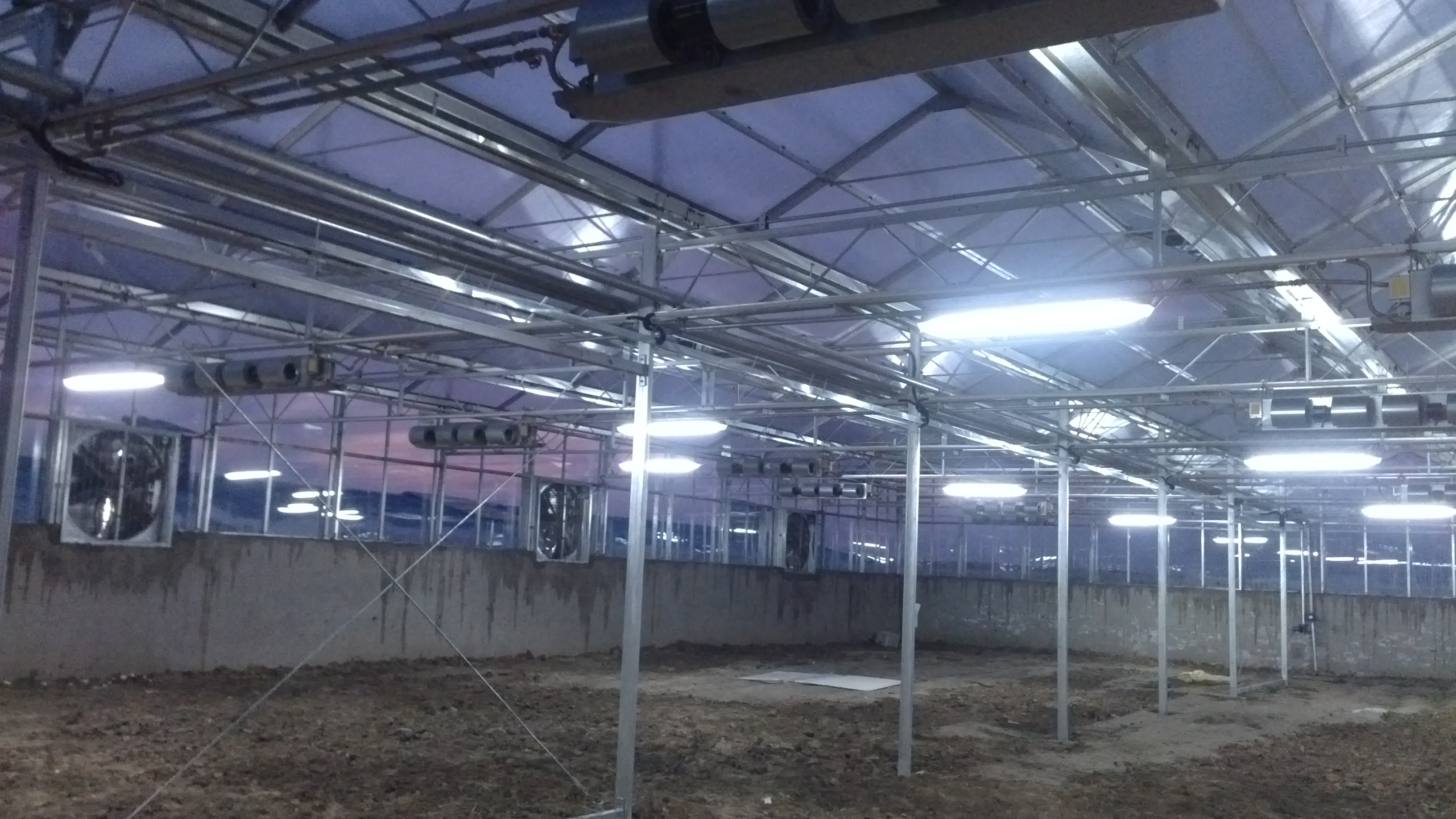 High Strength Agricultural Poly Tunnel Green House/Tomato Greenhouse