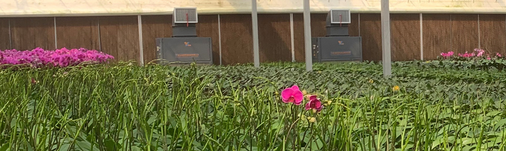 Water Sprayer Controlled Illuminating Planting Greenhouse