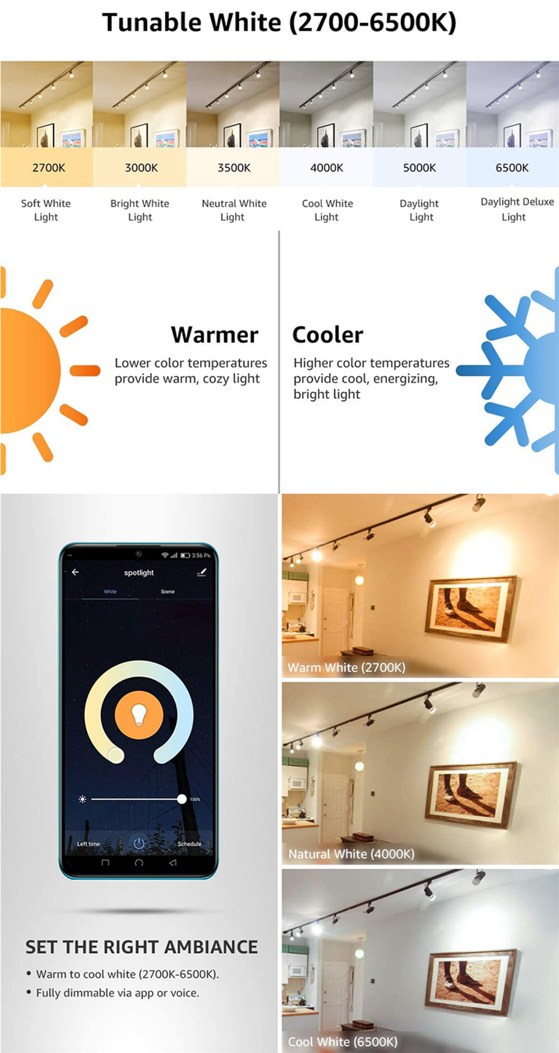 White and Color Ambiance Light