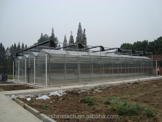 8m 9.6m 12m Span Width Agriculture Greenhouse For Hybrid Tomato Seeds And Vegetables