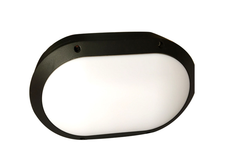 Oval Outside LED Surface Mount Ceiling Lights Decorative Lighting For Villa Garden