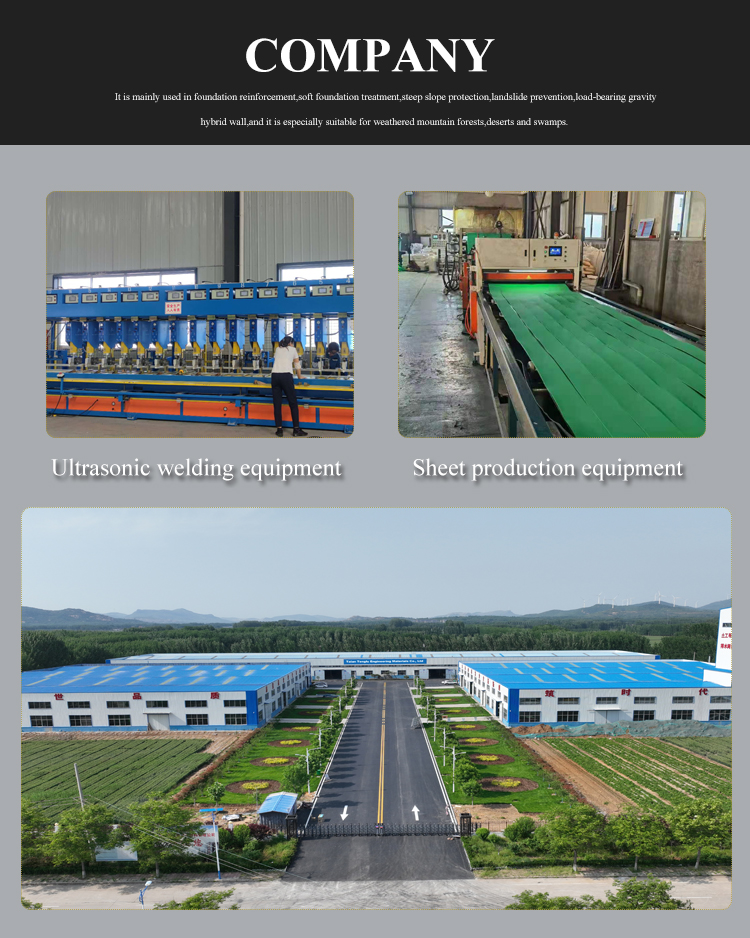 Online Technical Support HDPE Black Green Plastic Geocell for Slope Protection Ground Grid