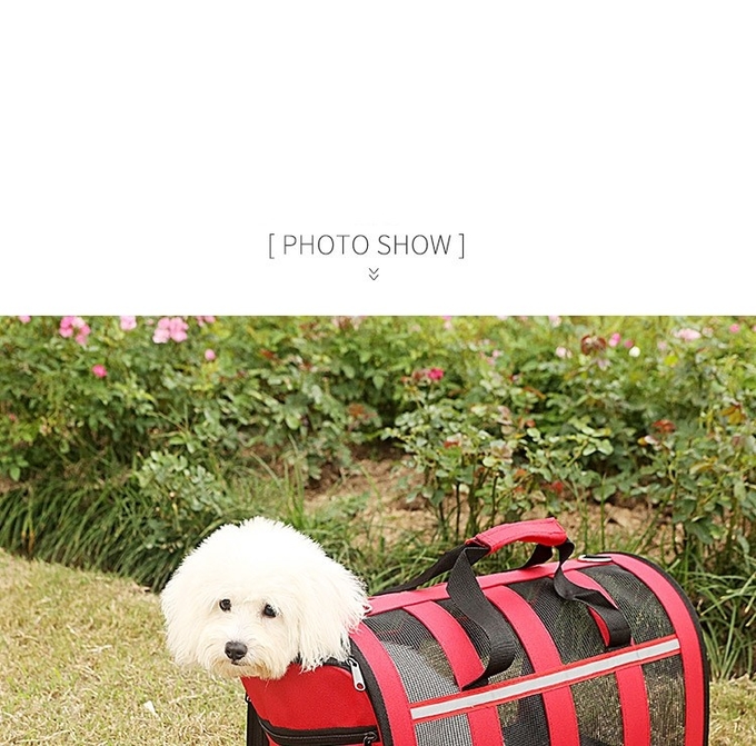 Dog And Cat Portable Handbag With Breathable Mesh On Four Sides Foldable Pet Cage