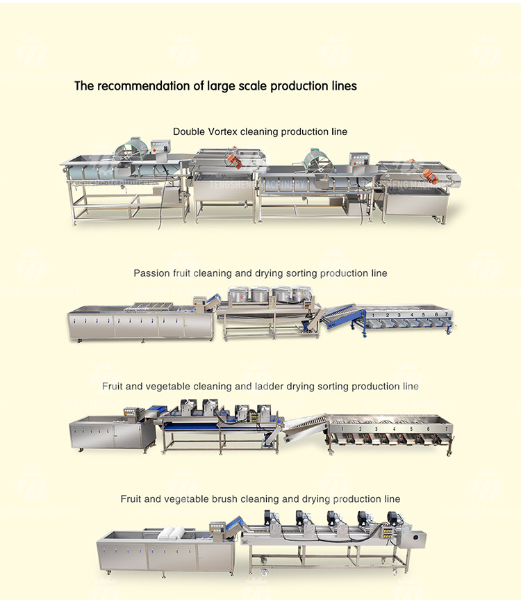 300KG/H Commercial Vegetable Cutter Ginger Potato Garlic Shredder