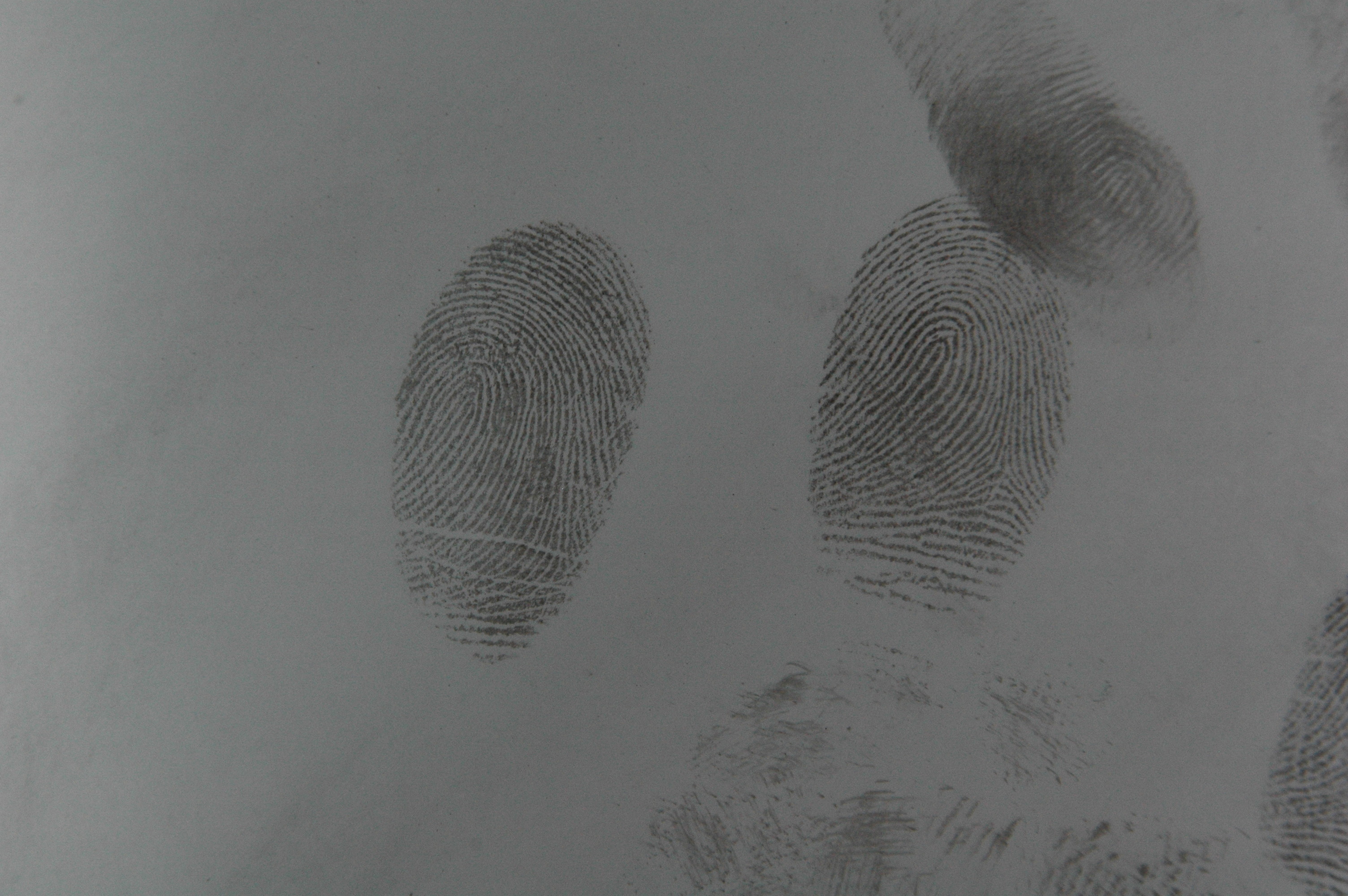 C095 Gray fingerprint powder