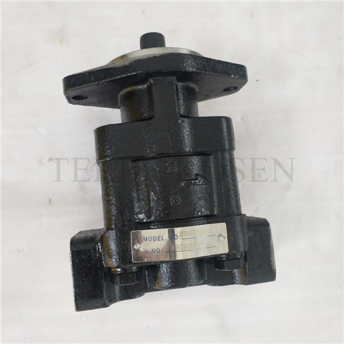 Hydraulic gear pump P330 bushing pump P330A597FYAB17-25
