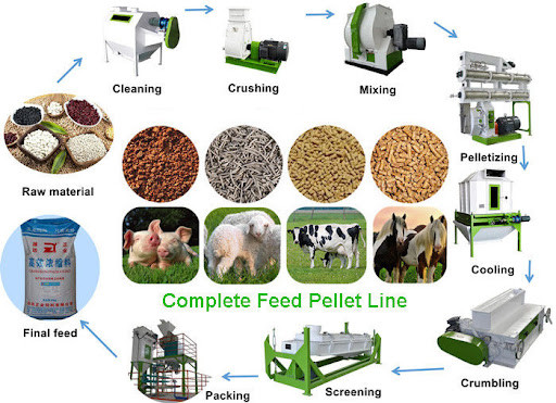 3mm-3.5mm Animal Feed Production Plant Chicken Feed Pellet Making Machine