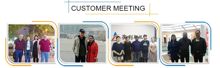 Fish Chicken Pork Pork Meat Stuffer Machine Paste Vegetable Sausage Stuffer Machine