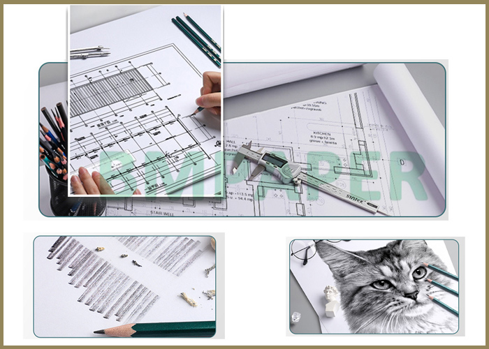 Wide Format 80gsm White Bond Plotter Paper Roll 18'' 24'' x 500ft 3'' Core