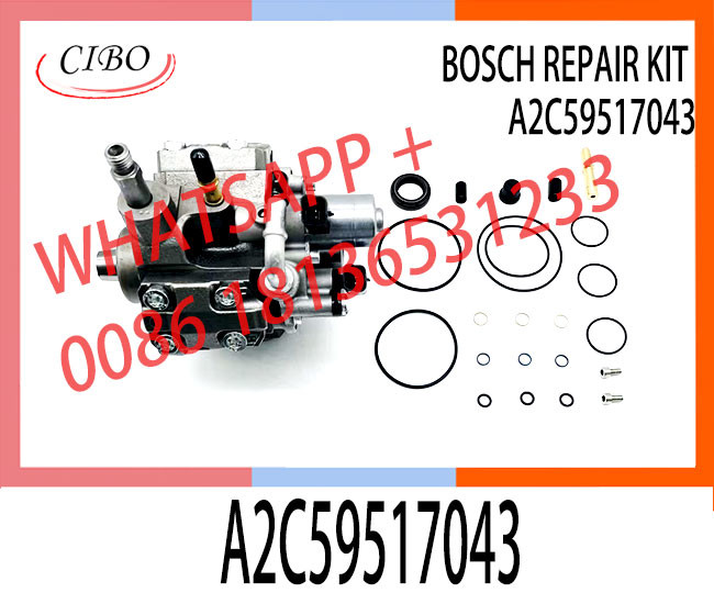 High quality diesel fuel pump repair kit for vdo pump A2C59517043