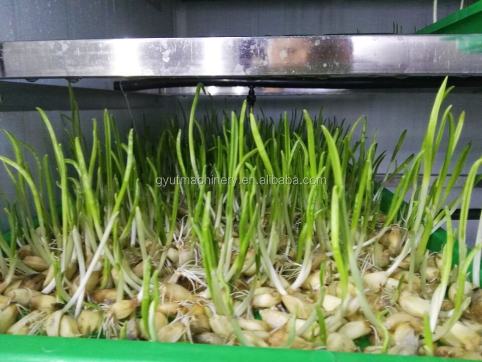 40FT Vertical Hydroponic Container Fodder Machine for Growing Sprouts Barley on Farms