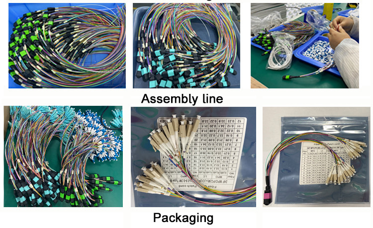 12F MTP MPO Fiber Patch Cable PVC LSZH Hytrel Jacket Ratings