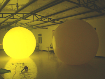 OEM Inflatable LED Light Inflatable Flower Decoration With Lights