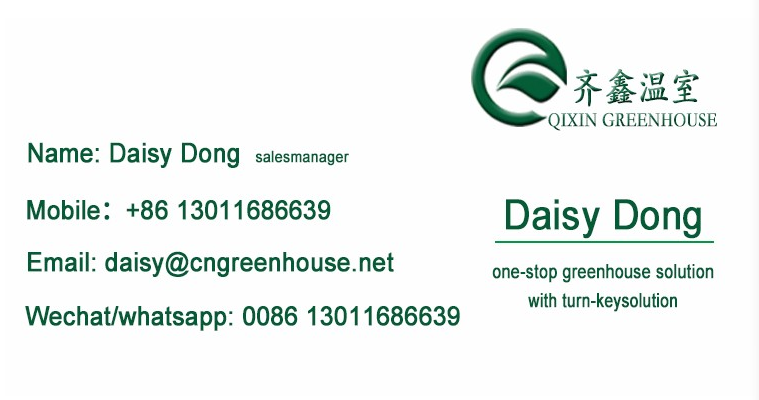 Multi-Span Agricultural Greenhouses with Used Container Hydroponic Growing Systems