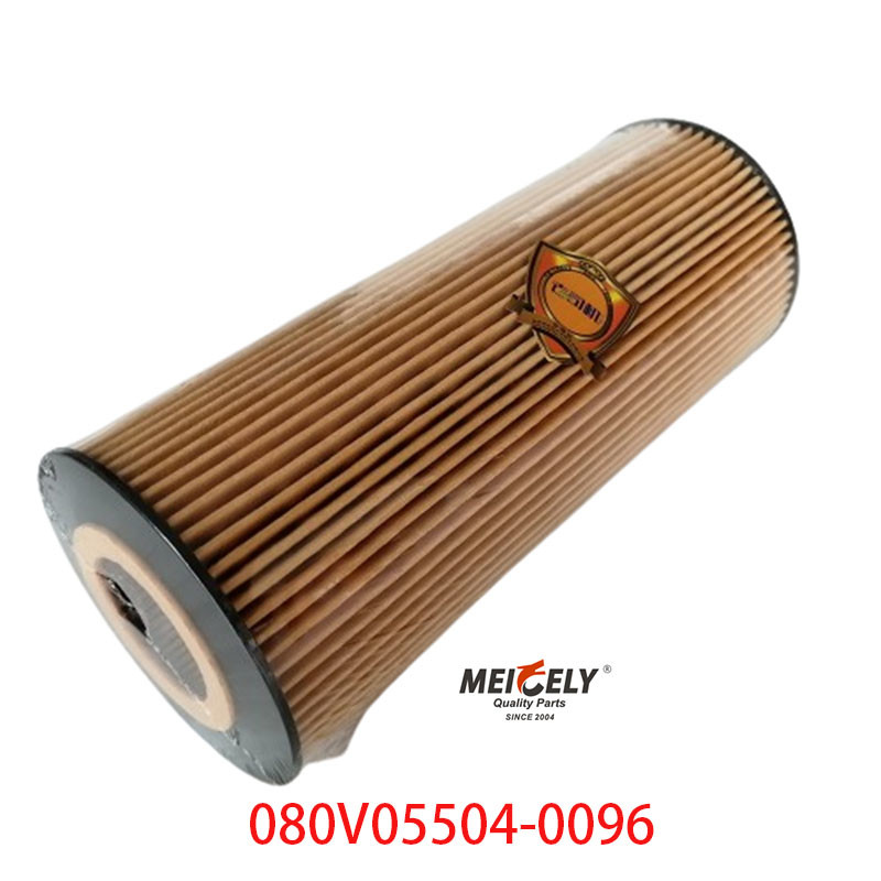 Stock OEM 080V05504-0096 For SINOTRUK Howo T5G Truck Oil Filter