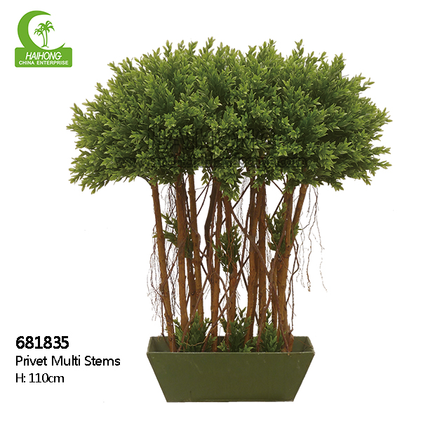 Artificial Privet