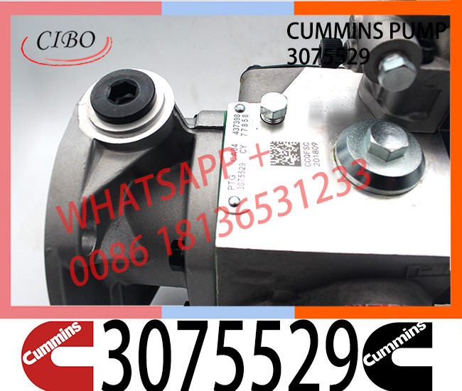 Genuine Cummins diesel marine parts KTA38 QSK38 PT fuel pump 3075529 3075664