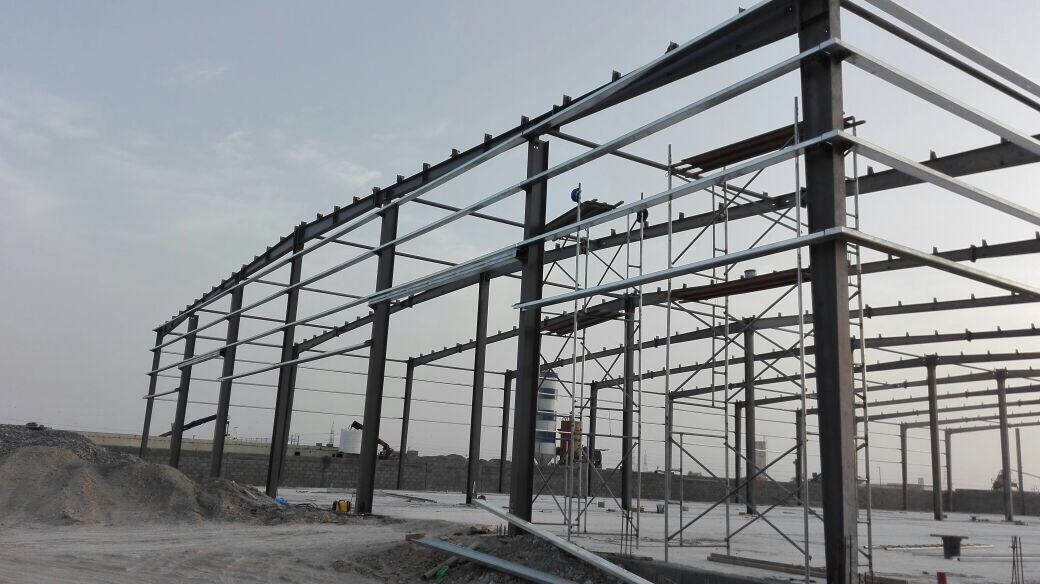 Prefab Q355 custom poultry farm steel structures
