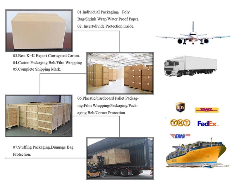 3 Compartments PP 3L Disposable Food Container 1mm Thickness