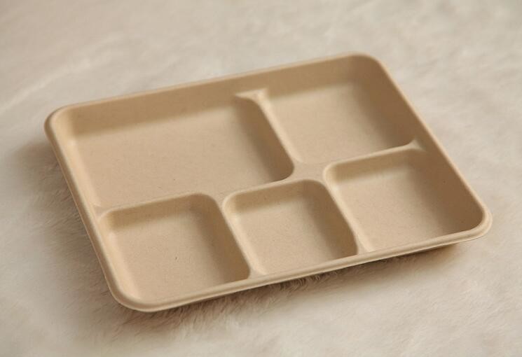 5 compartments Biodegradable Straw pulp food containers paper food trays