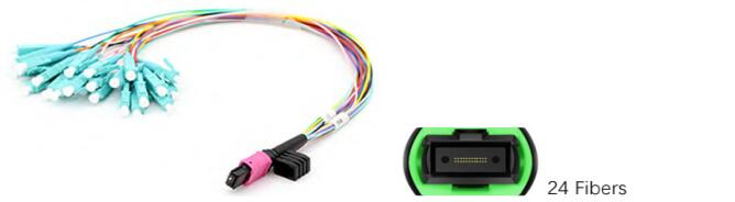 24 Fibers MTP To LC 24F MTP(Male) -LC Fan-Out 0.9mm 30-35cm Patch Cable