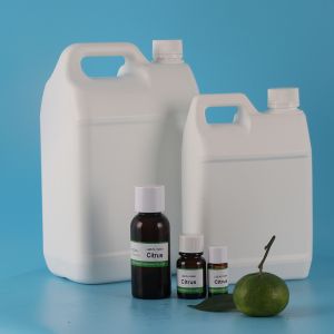 Home Fragrance Citrus Fragrance Essence Oil Toy Fragrance Oil